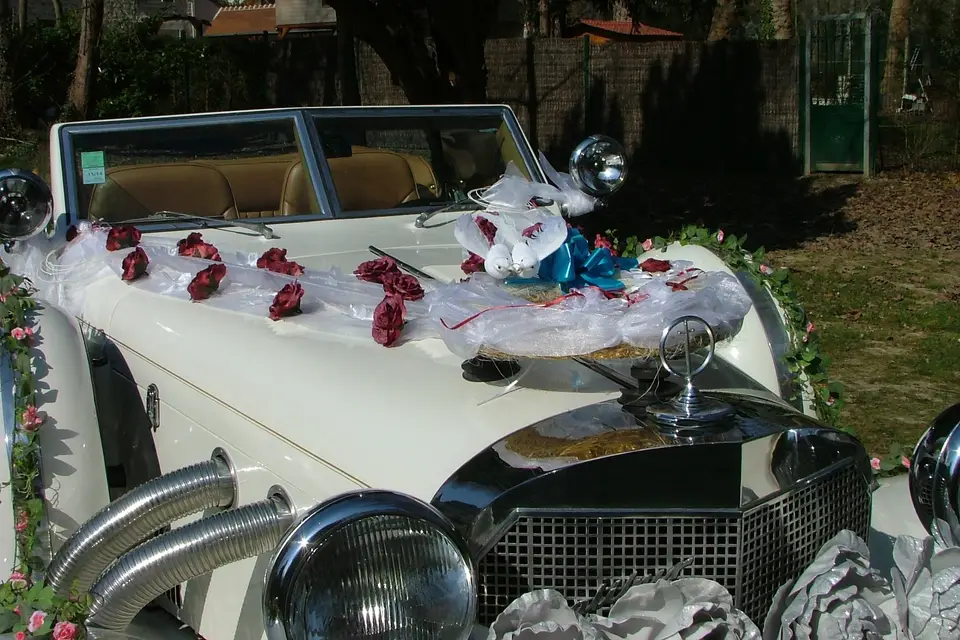 Excliburdream — photo 3