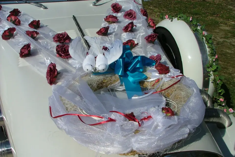 Excliburdream — photo 7