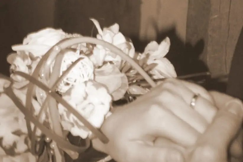 Luminescence — photo 2