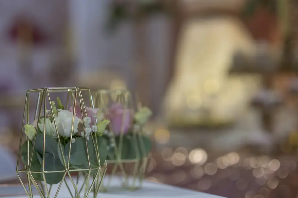 Marquise des Rêves — photo 8