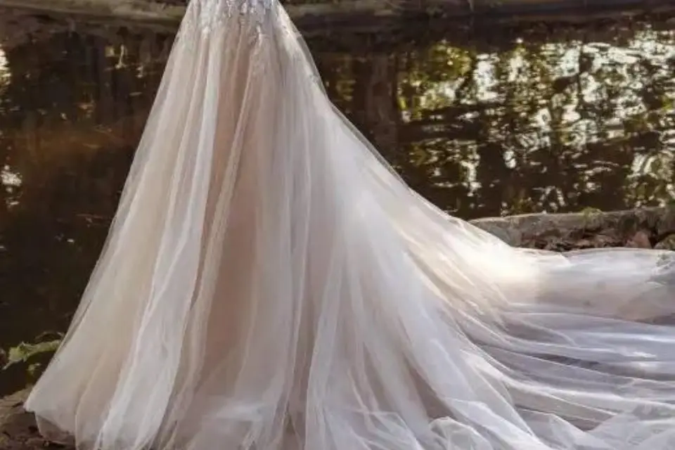 Les Mariées de Saint-Priest — photo 2