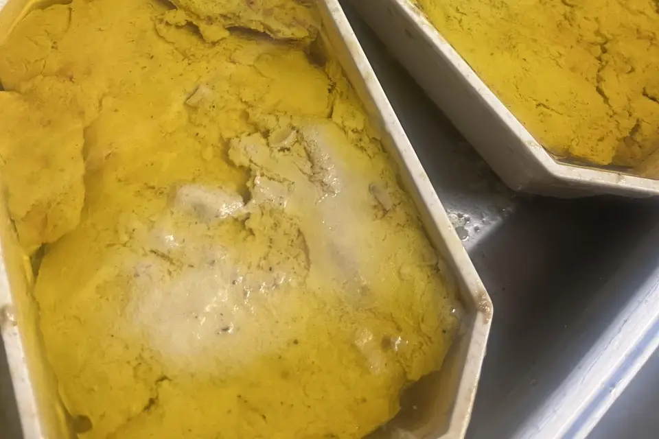 Artisan 77 — photo 7