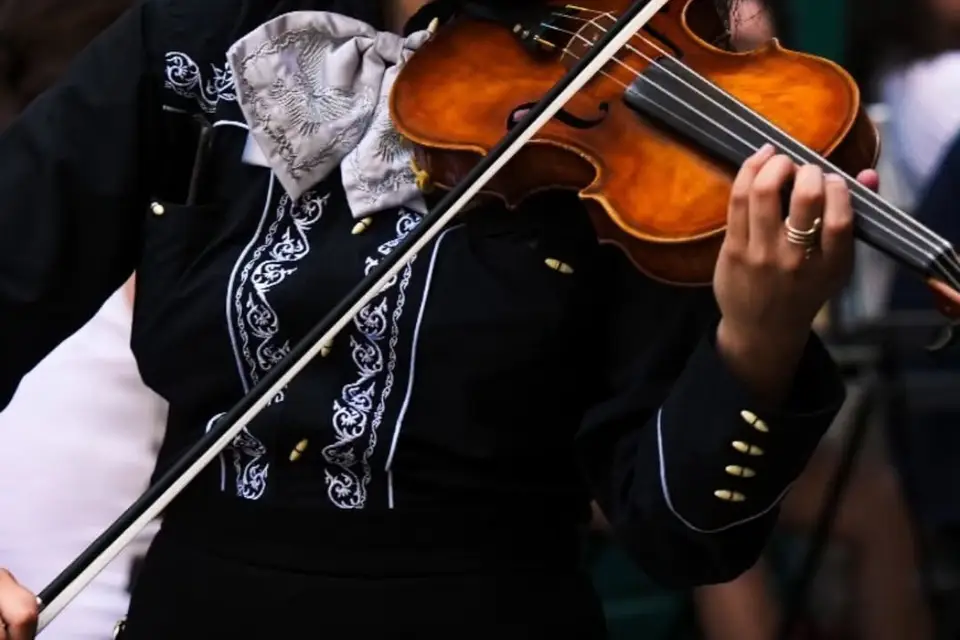 Saxophoniste/Violoniste/DJ MTS — photo 8