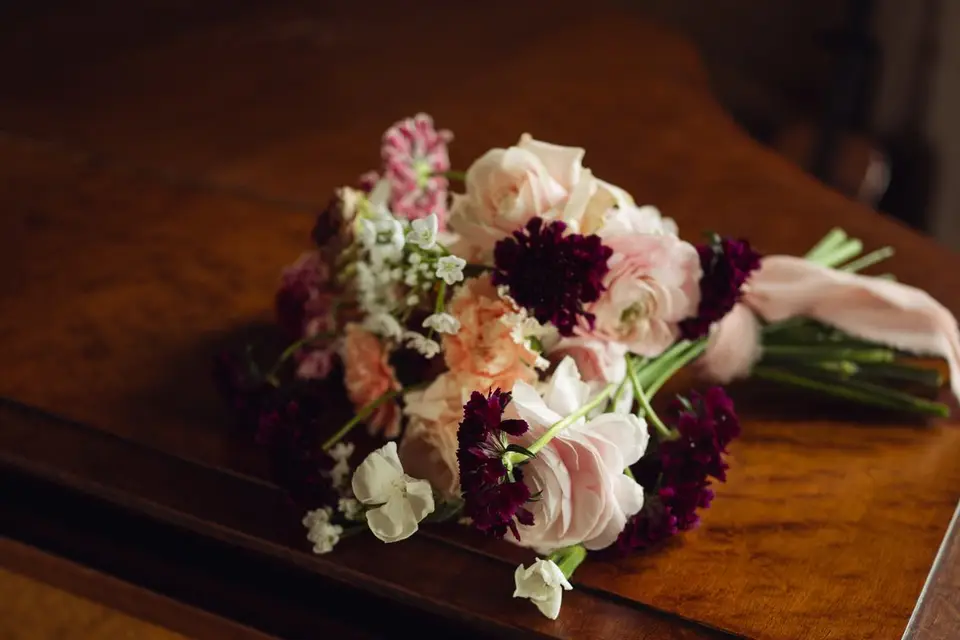 Elodie Réaud — photo 8