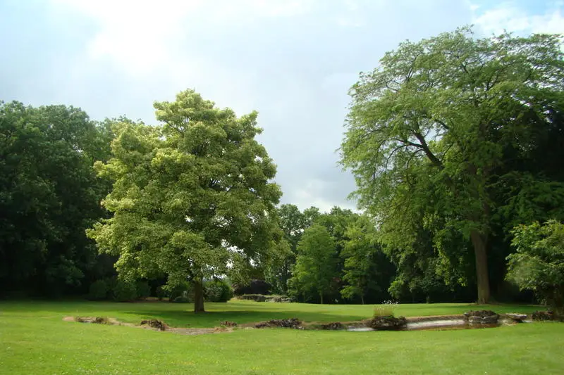 Roseraie Concept — photo 5