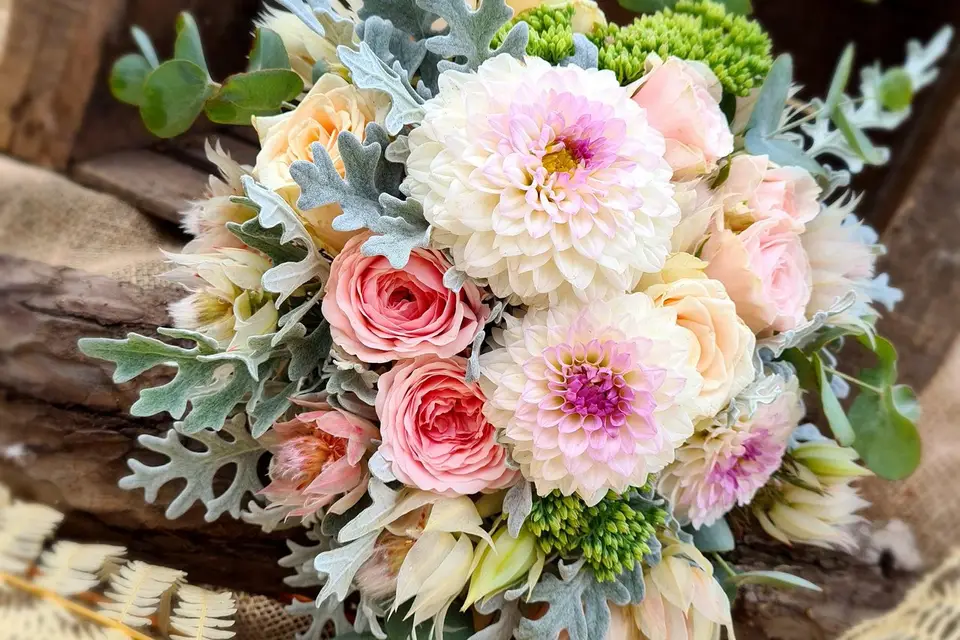 Émilie et Gary — photo 1