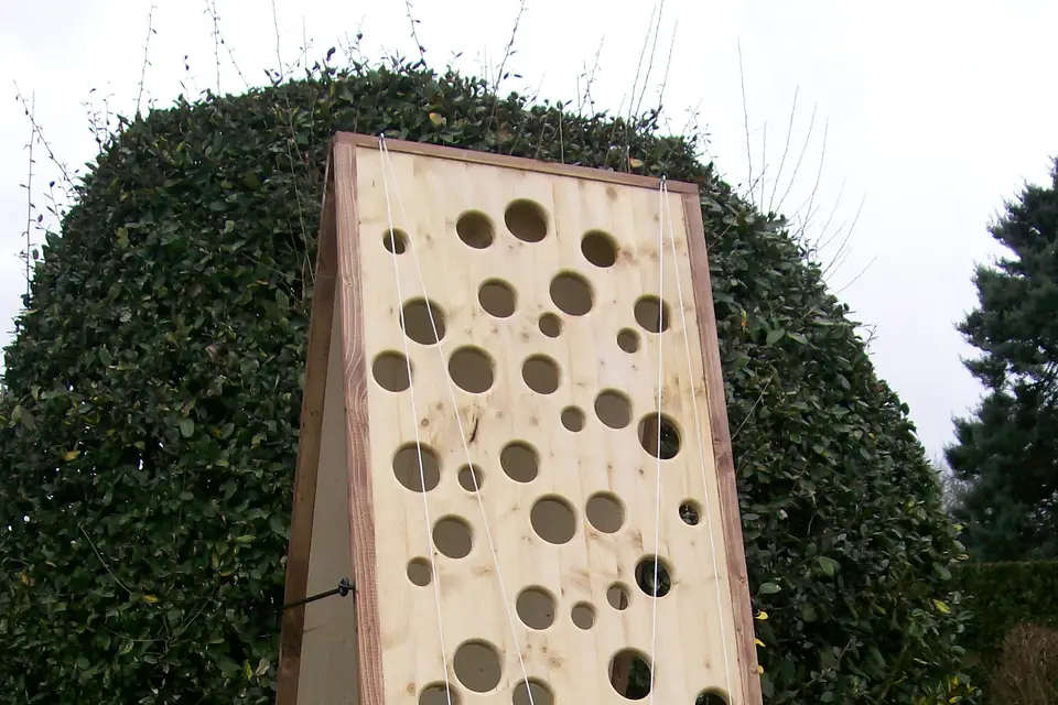 Woody Ludie — photo 4