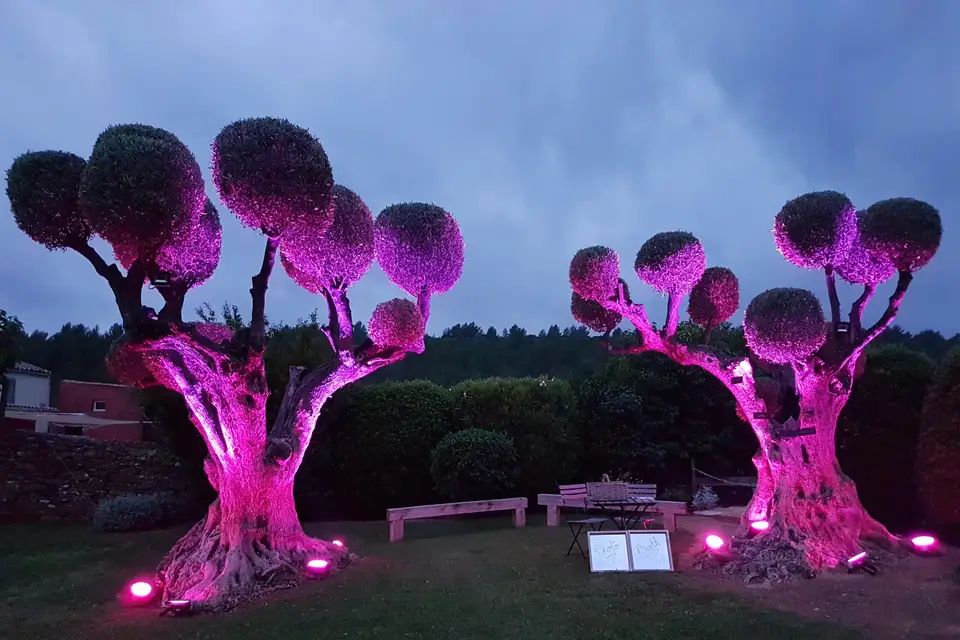 Laurent & Antonin Faou — photo 2