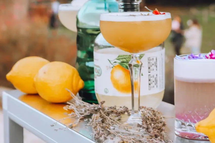 Cheers - Bar à Cocktails mobile — photo 1