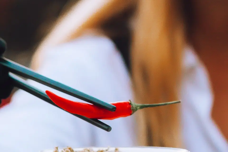 Cheers - Bar à Cocktails mobile — photo 2