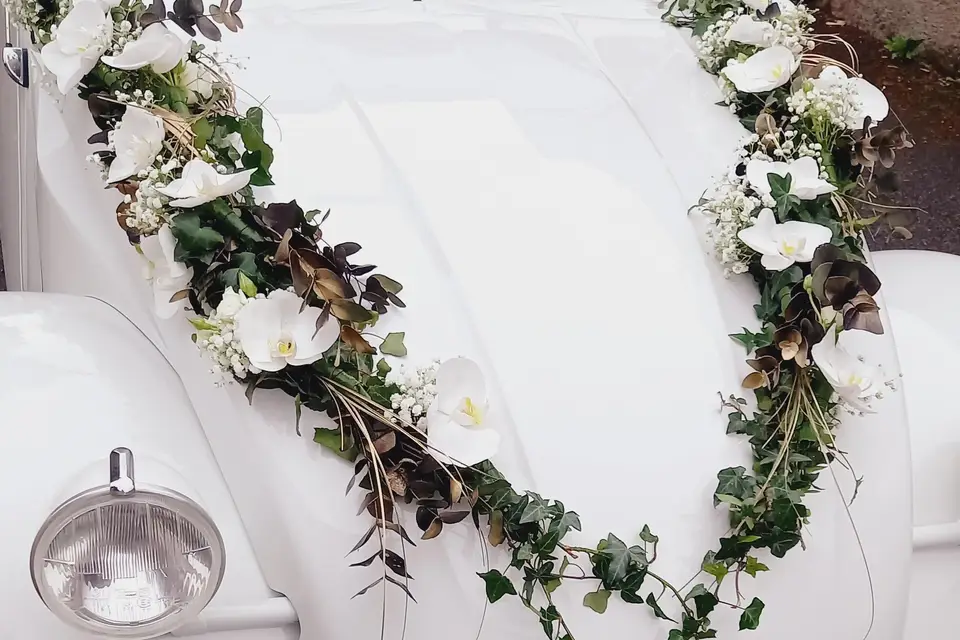 L'Hirondelle — photo 3