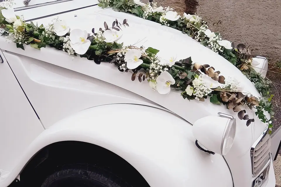 L'Hirondelle — photo 6