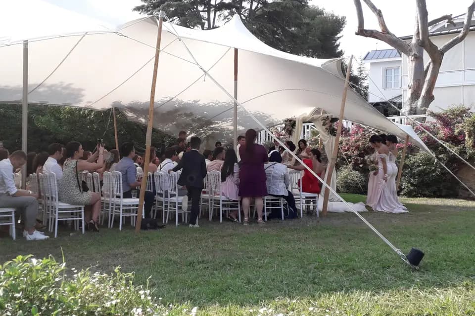 BS Animation — photo 6