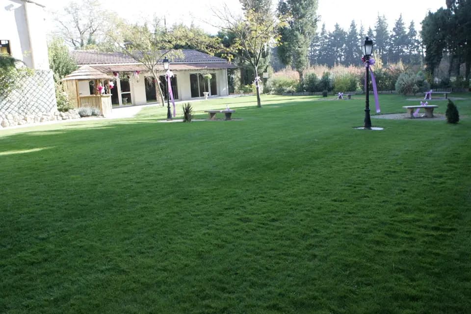 BS Animation — photo 9