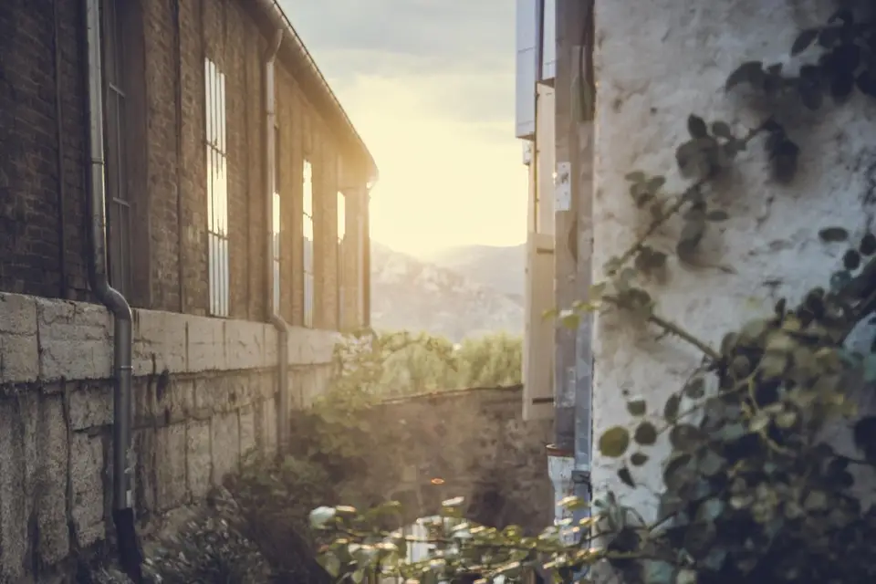 Melsoprod — photo 1