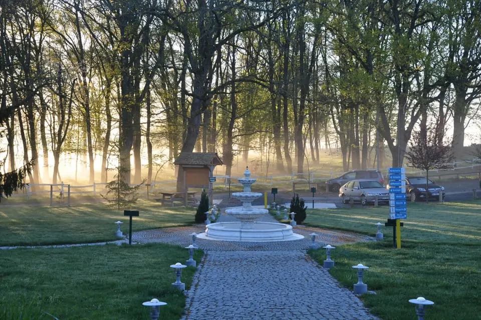 La Maison du Lac — photo 4