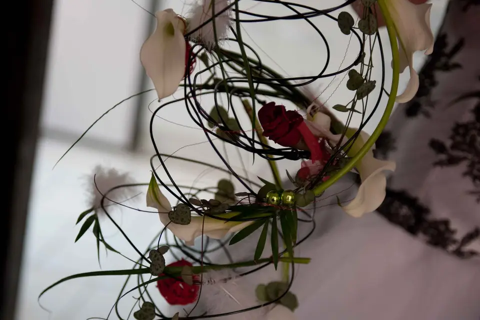 Daniel Muller — photo 4