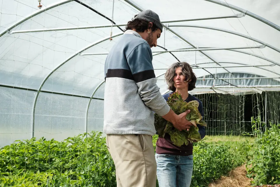 Alley Oop — photo 5