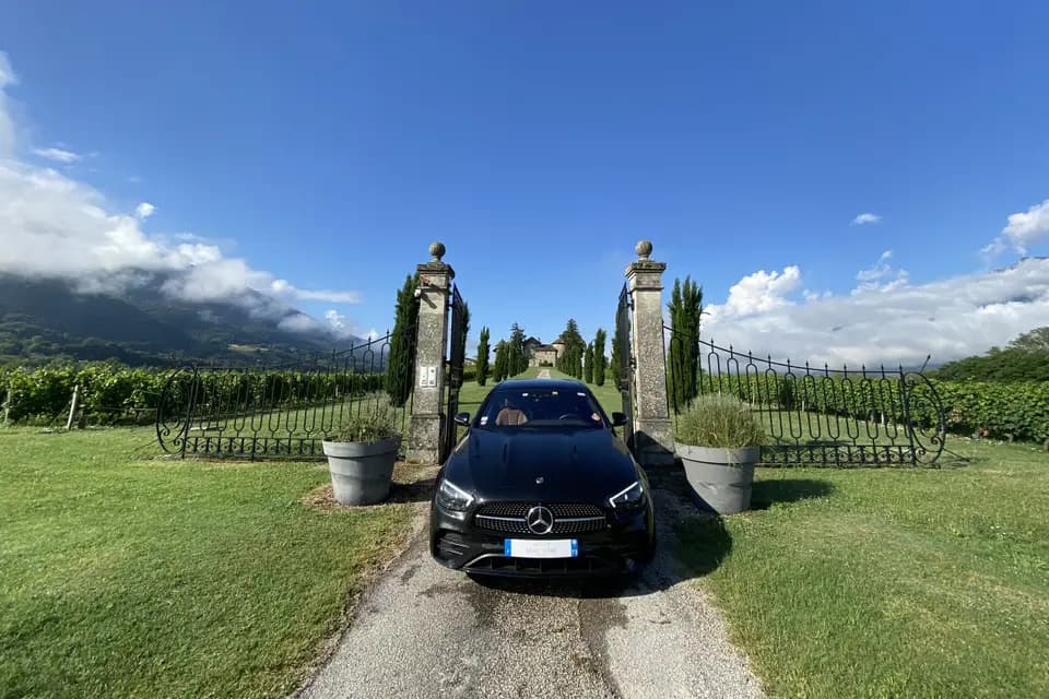 Leocleme Prestige — photo 2