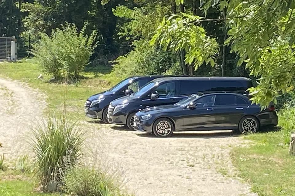 Leocleme Prestige — photo 4