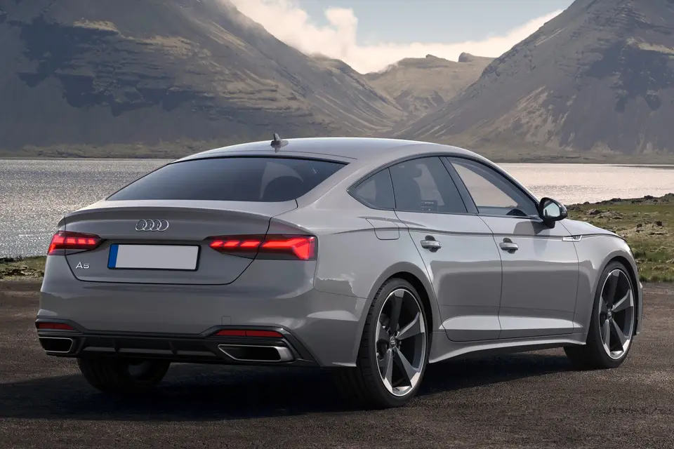 Bayonne Auto Concept