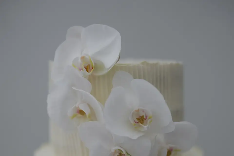 Maison Mimosa — photo 8