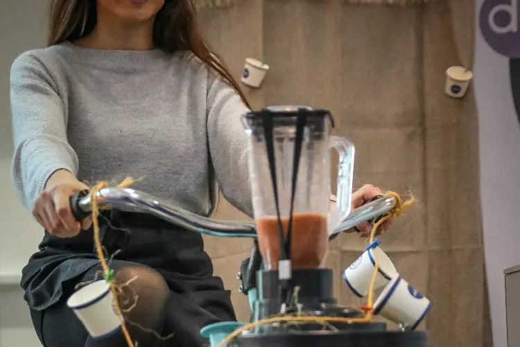 Les Anims de Freddy — photo 2