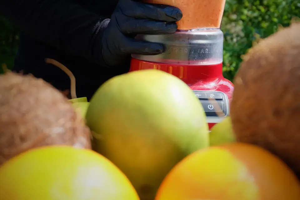 Les Anims de Freddy — photo 6