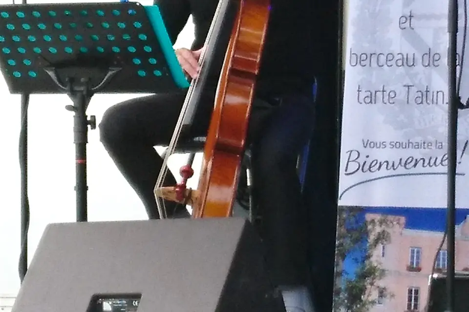 Timeless Jazz Trio — photo 4