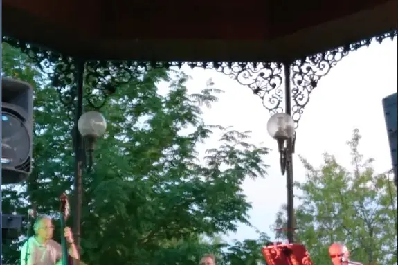 Timeless Jazz Trio — photo 8