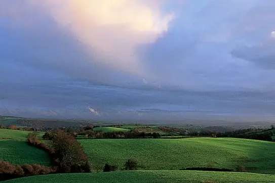 Hôtel des Voyageurs — photo 7