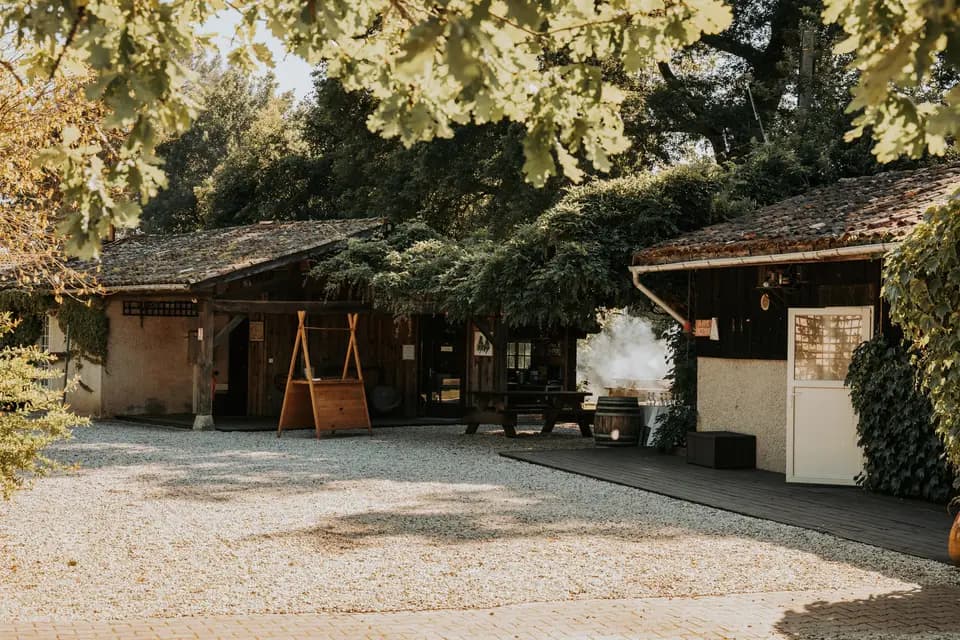 Le Volcelest — photo 3