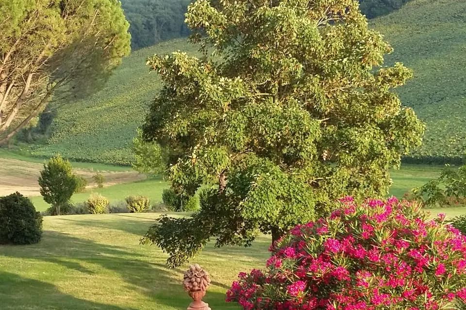 Domaine de Pagayrac — photo 6