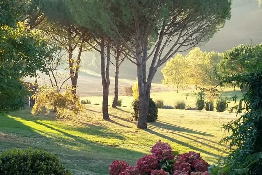 Domaine de Pagayrac — photo 3