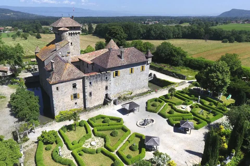 David T Films — photo 5