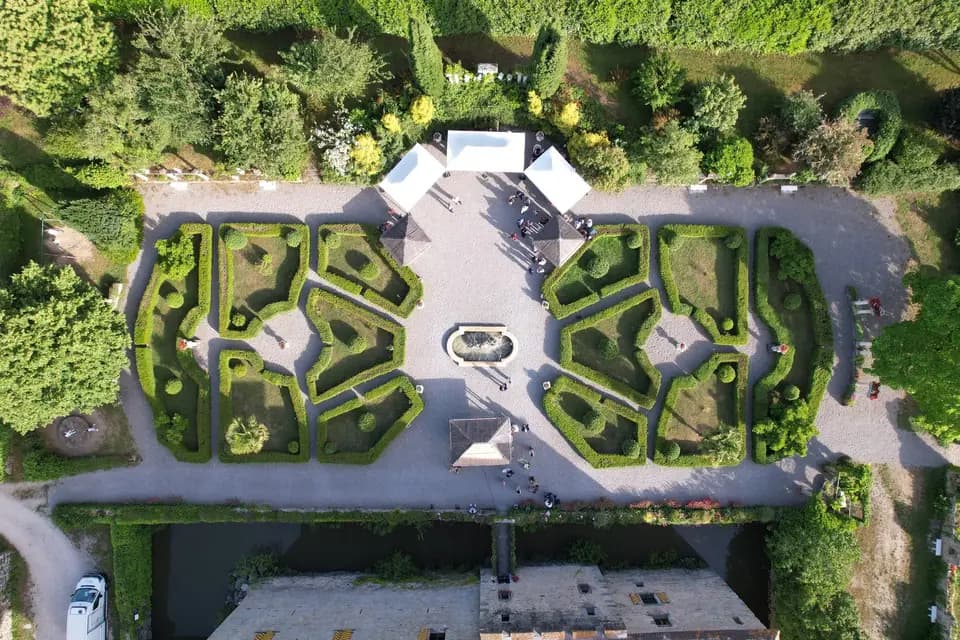 David T Films — photo 6