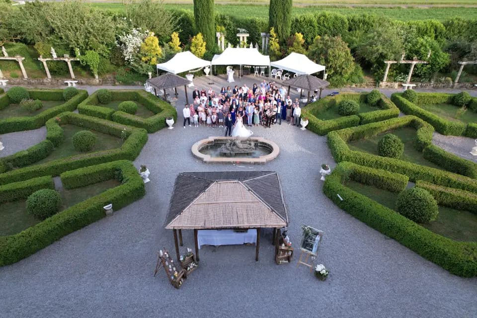 David T Films — photo 3