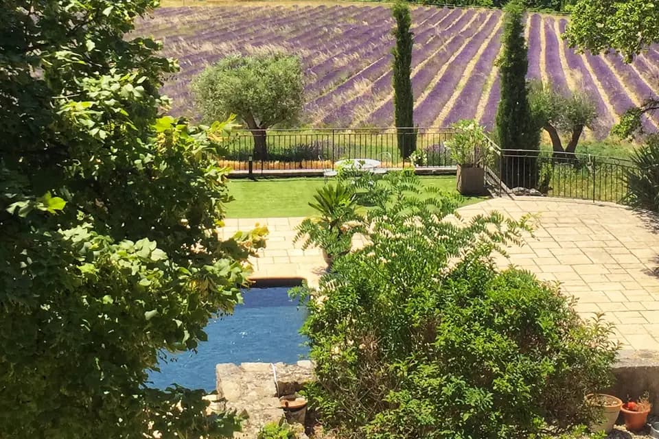 La Clairière du Domaine des Grillons — photo 4