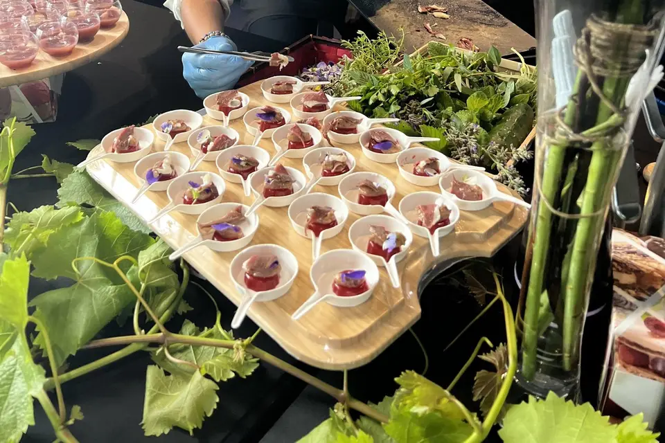 Delph​ine Bodiguel — photo 4