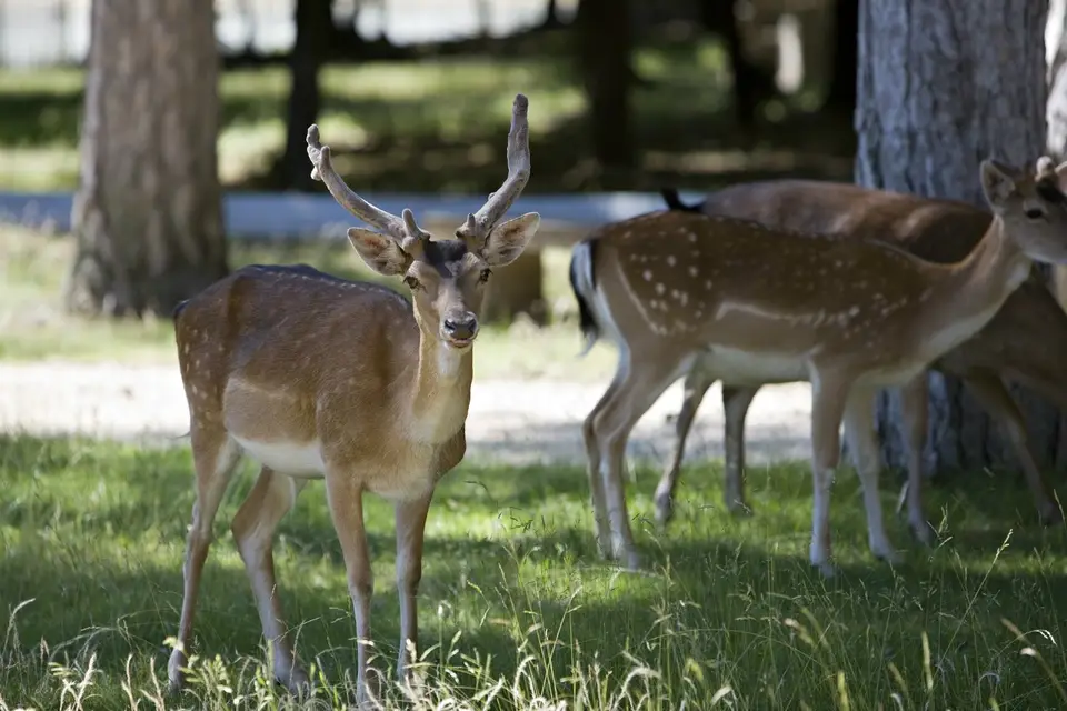 Château de Rochegude — photo 5