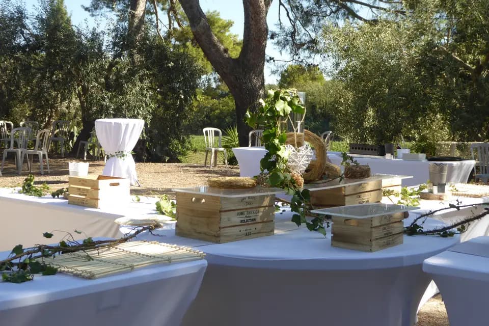 Domaine de l'Herbe Sainte — photo 8