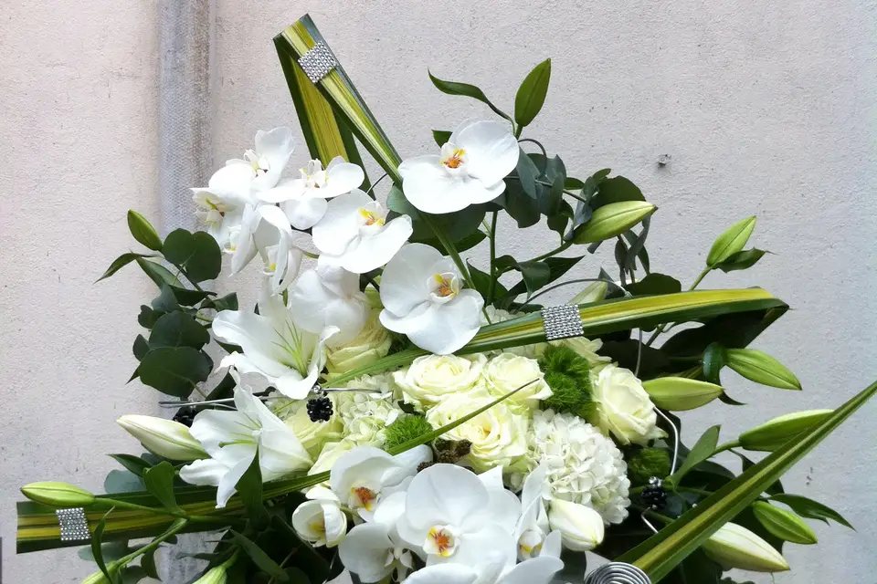 OGCréation — photo 2