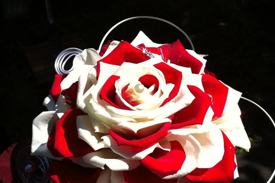 OGCréation — photo 7