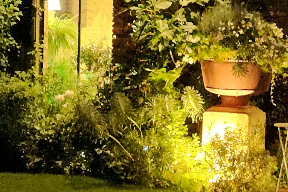 Clos des Montonneaux — photo 4