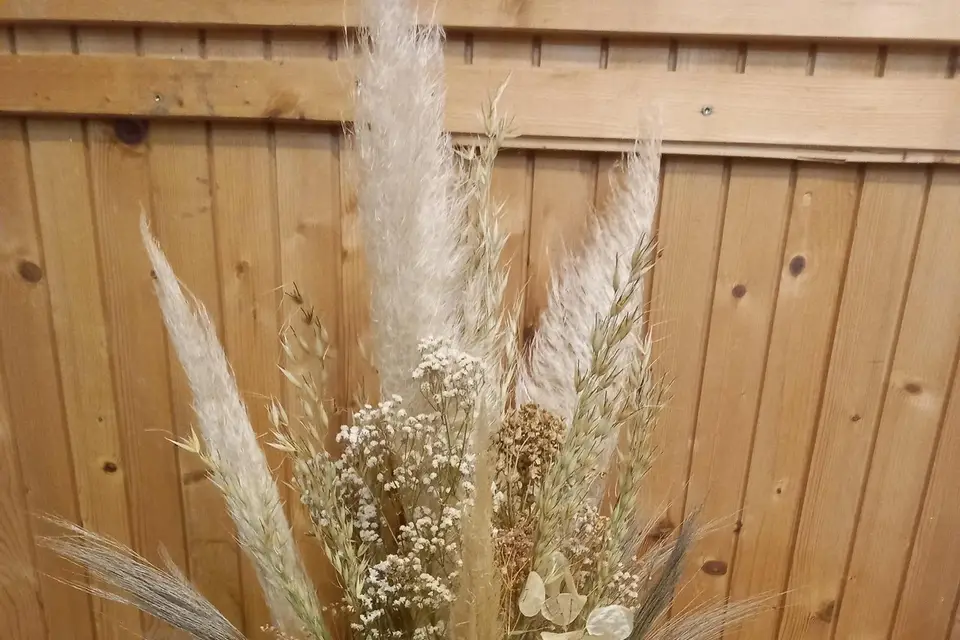 Vert l'Envie — photo 3