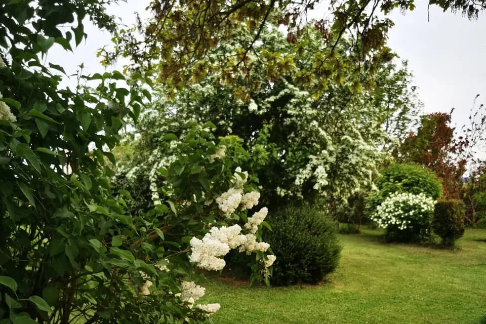 Clos des Montonneaux — photo 2