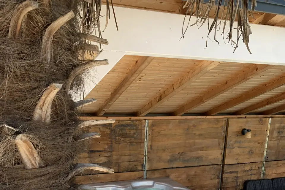 Dolce Vita — photo 5