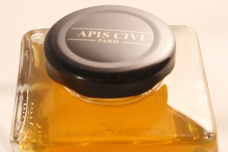 Apis Civi — photo 3