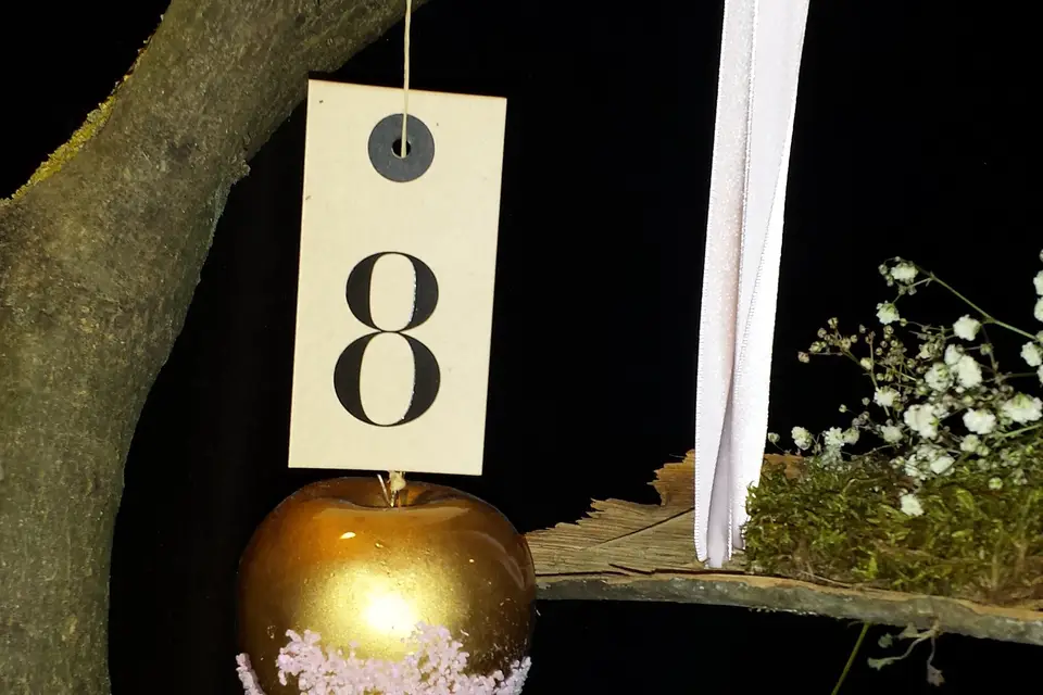 ID d'Elle Location — photo 7