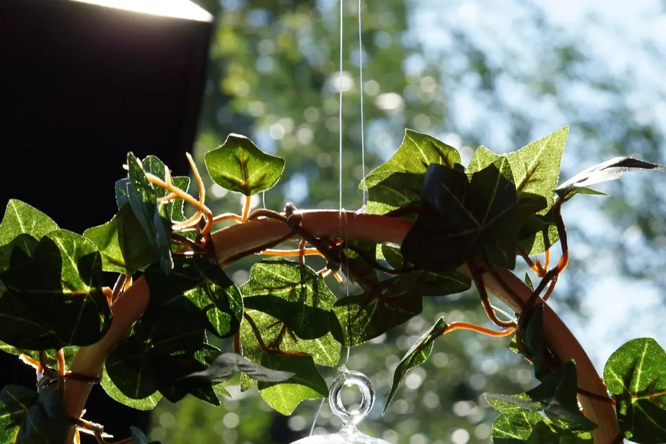 ID d'Elle Location — photo 6